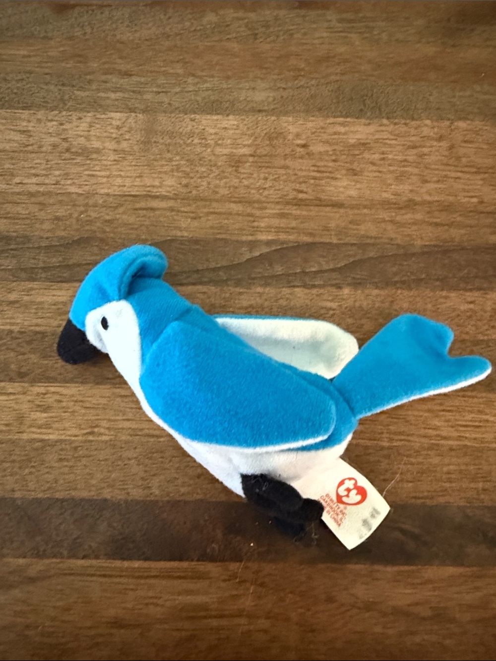 Ty Rocket the Blue Jay